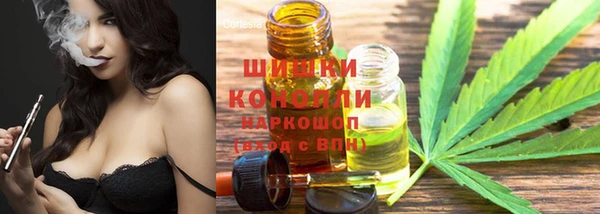 дмт Надым