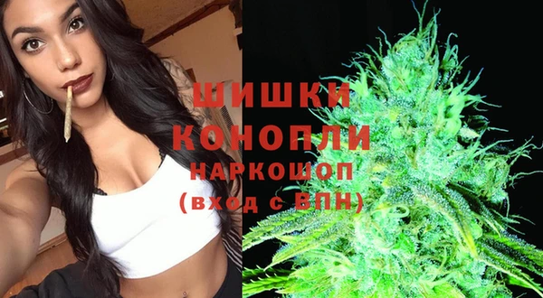 дмт Надым