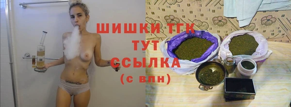 дмт Надым