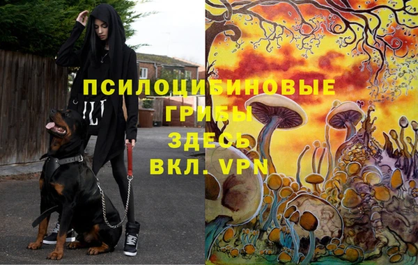 а пвп мука Навашино